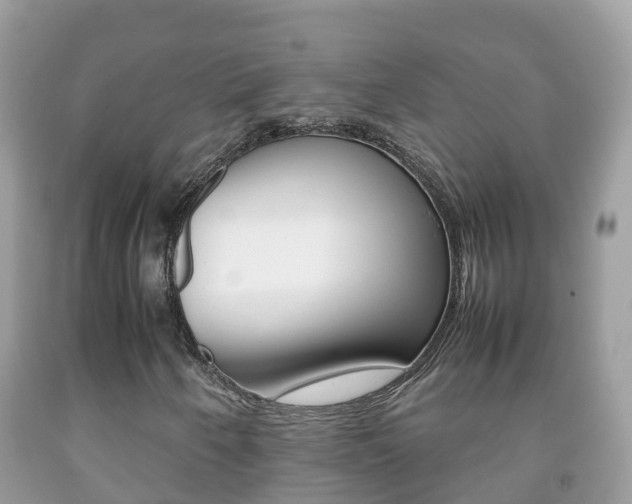 X0000092221250200709140914