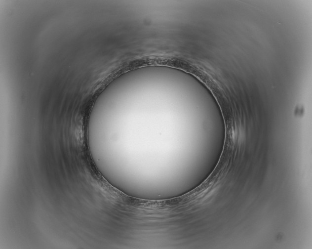 X0000092221252200709140914