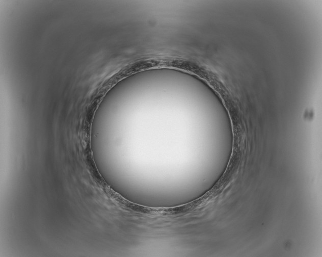 X0000092221253200709140914