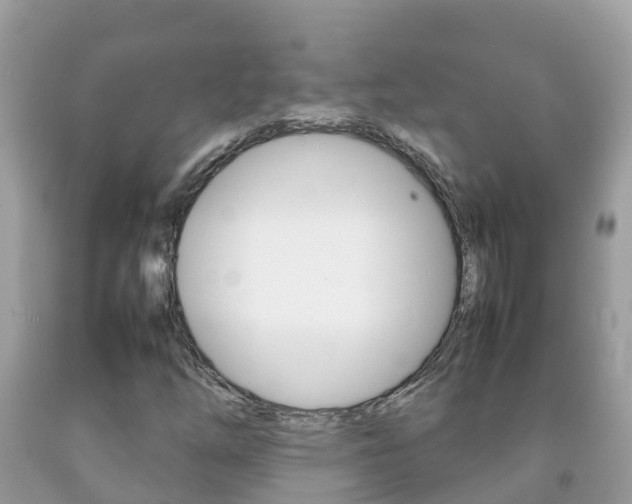 X0000092221254200709140914