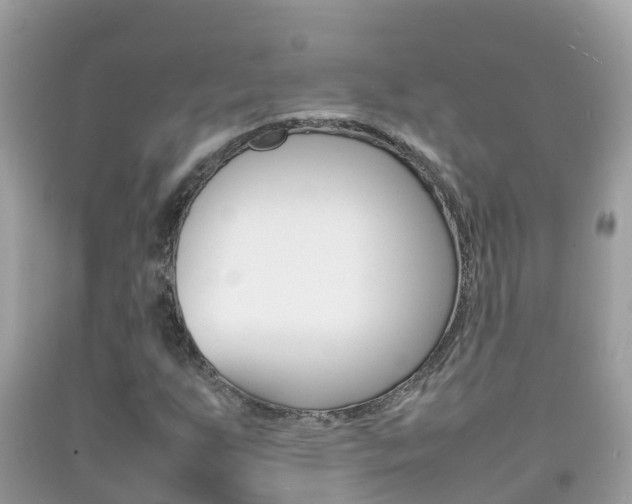 X0000092221255200709140914