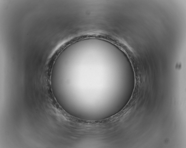 X0000092221256200709140914