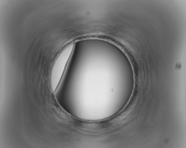 X0000092221257200709140914