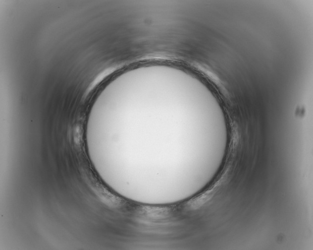 X0000092221258200709140914