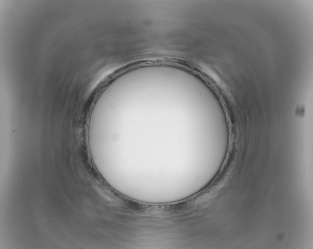 X0000092221259200709140914