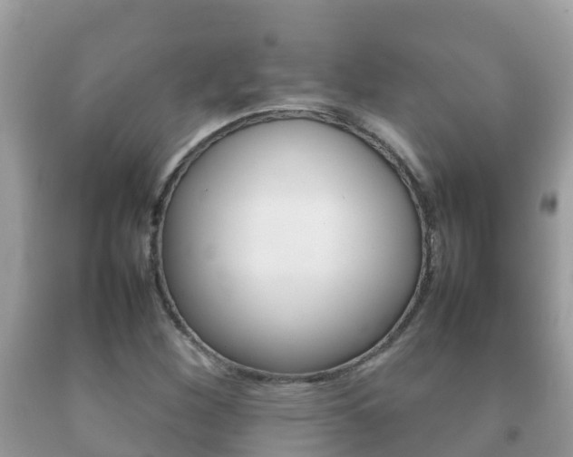 X0000092221260200709140914