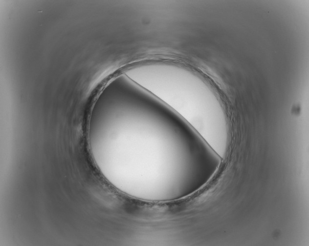 X0000092221261200709140914