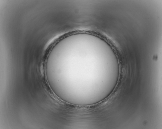 X0000092221262200709140914