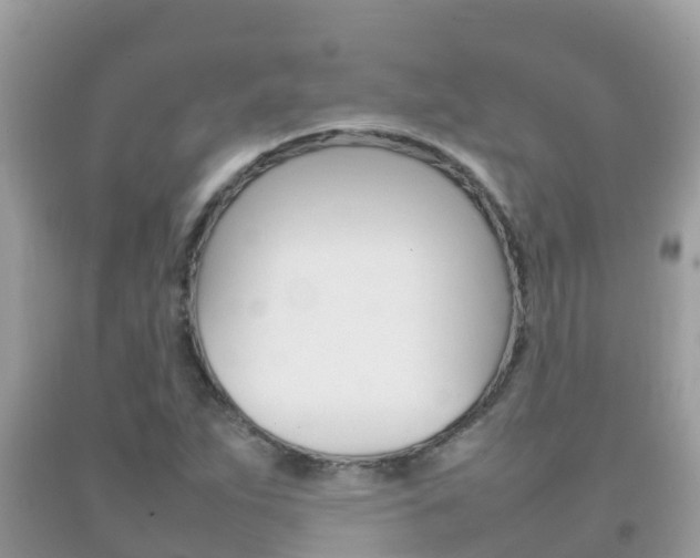 X0000092221263200709140914