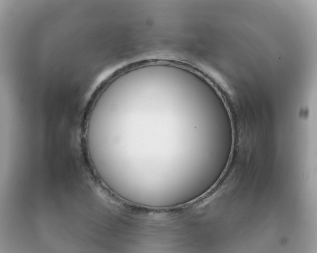 X0000092221264200709140914