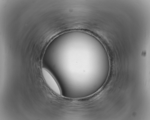 X0000092221265200709140914