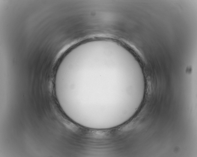 X0000092221266200709140914