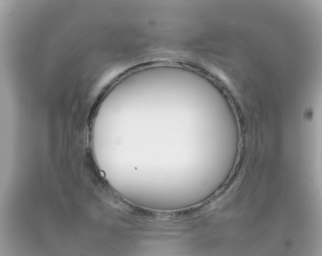 X0000092221267200709140914