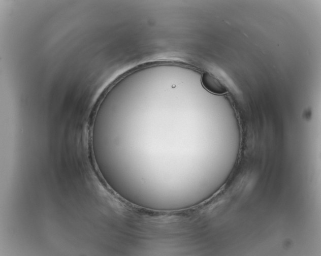 X0000092221268200709140914