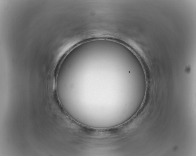 X0000092221269200709140914