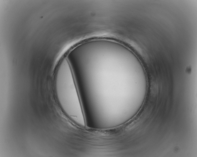 X0000092221270200709140914