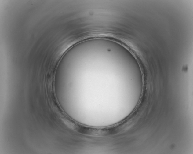 X0000092221273200709140914