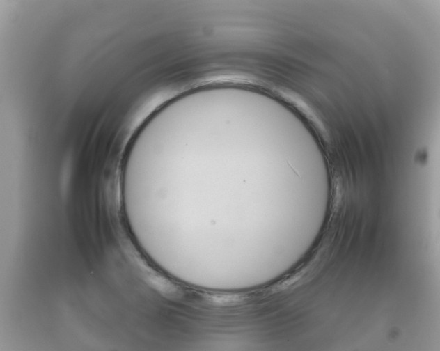 X0000092221274200709140914