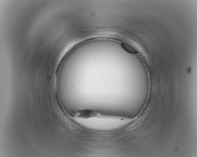 X0000092221275200709140914