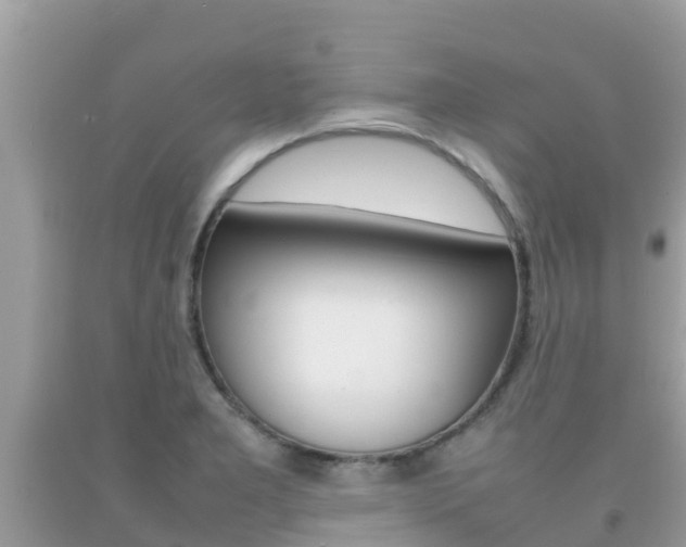 X0000092221277200709140914