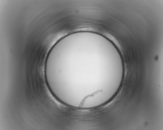 X0000092221282200709140914
