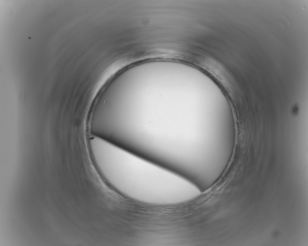 X0000092221283200709140914