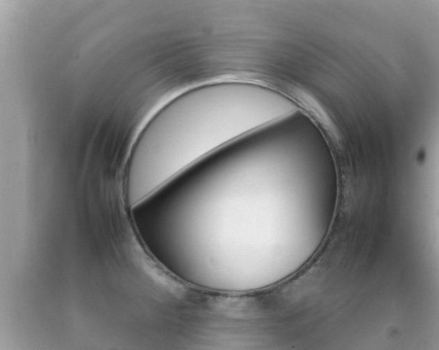 X0000092221284200709140914