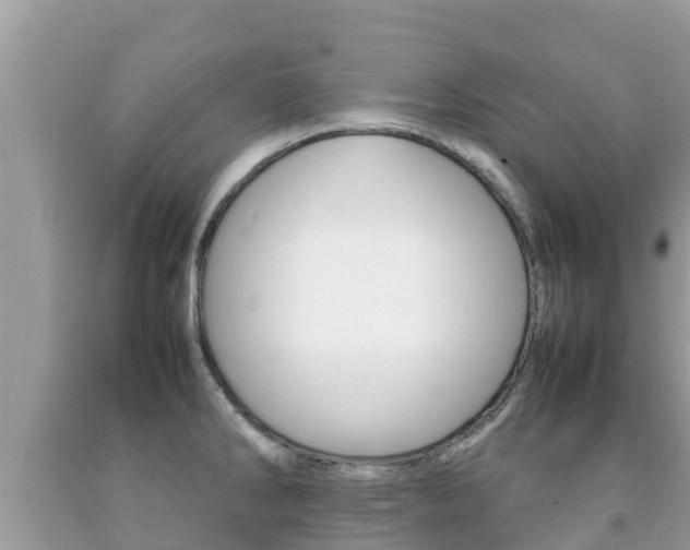 X0000092221286200709140914