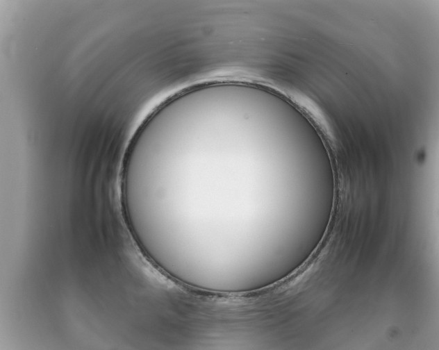 X0000092221288200709140914