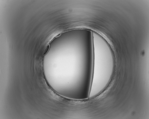 X0000092221289200709140914