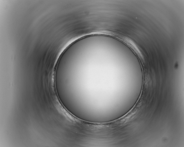 X0000092221292200709140914
