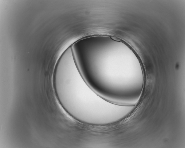 X0000092221293200709140914