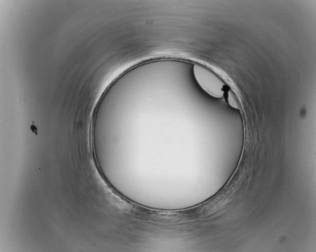 X0000092221295200709140914