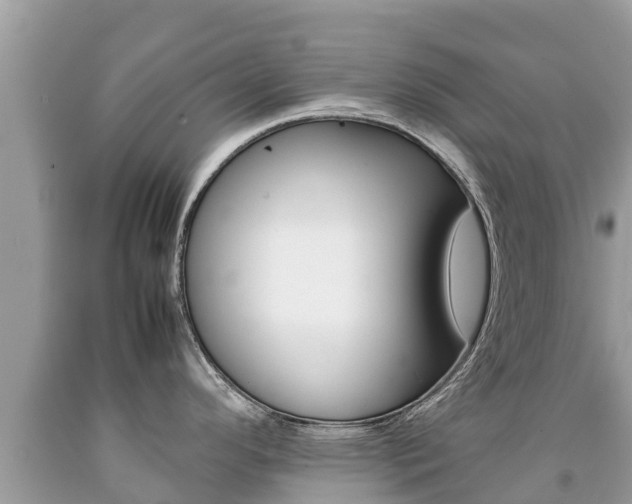X0000092221296200709140914