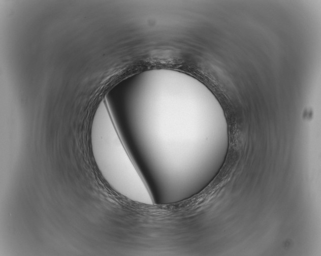 X0000092221297200709140913