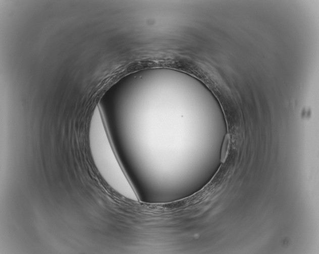 X0000092221298200709140913