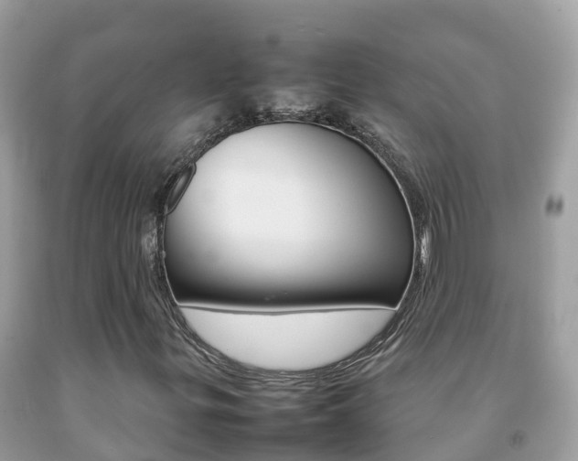 X0000092221299200709140913