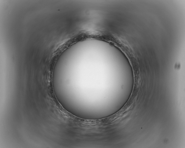 X0000092221301200709140913