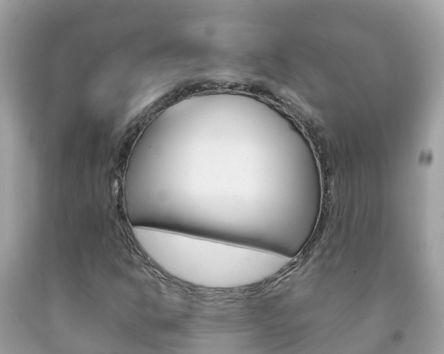 X0000092221302200709140913