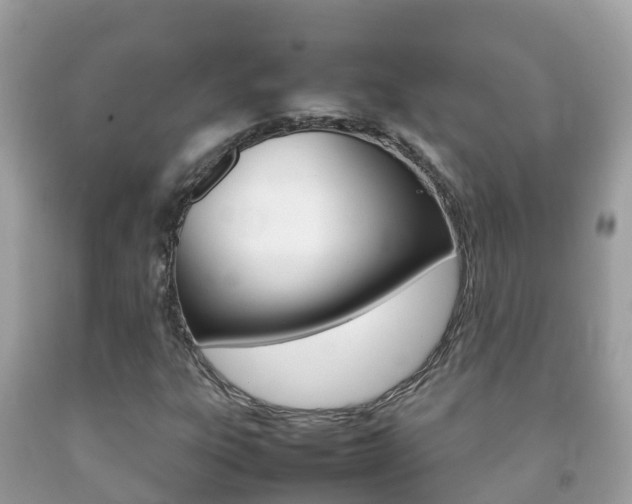 X0000092221303200709140913