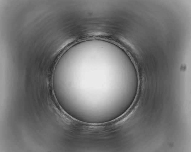 X0000092221305200709140913