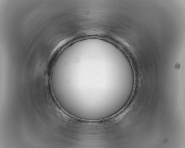 X0000092221306200709140913