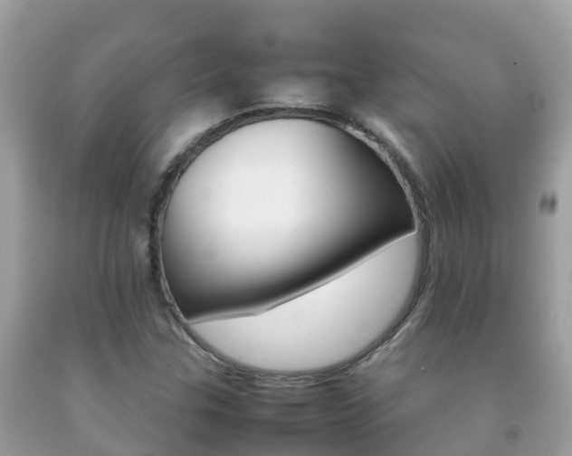 X0000092221307200709140913