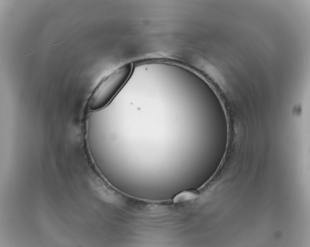 X0000092221308200709140913
