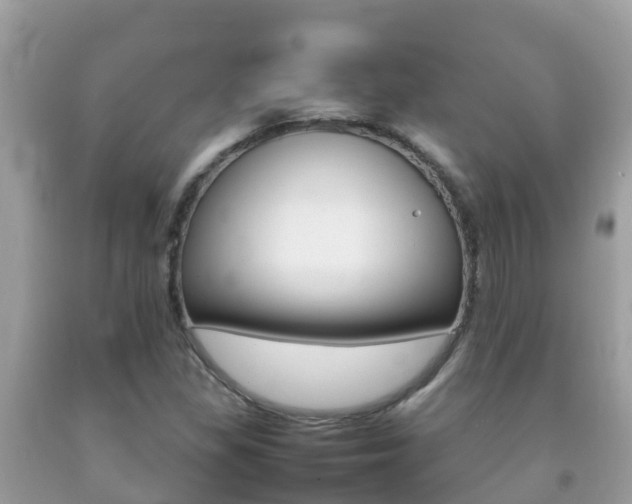 X0000092221309200709140913