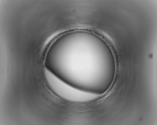 X0000092221310200709140913