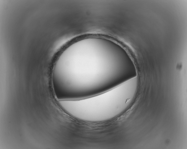 X0000092221311200709140913