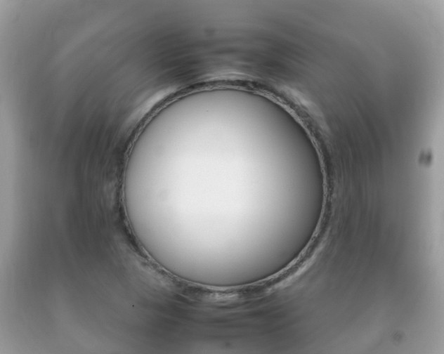 X0000092221313200709140913