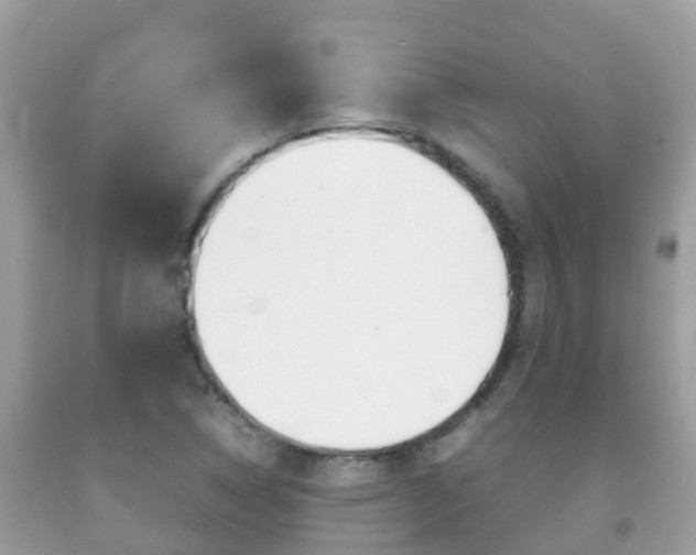X0000092221314200709140913