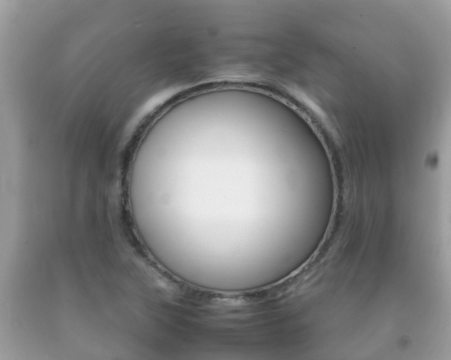 X0000092221315200709140913